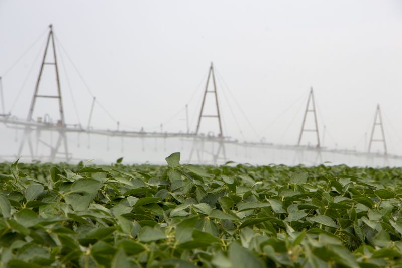 Yard Irrigation Installation