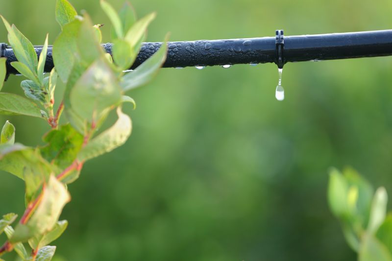 Drip Irrigation Components