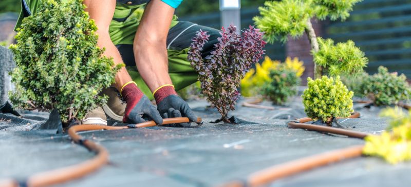 Increase Your Yard Irrigation Installation Business with an AI Driven, Targeted Website