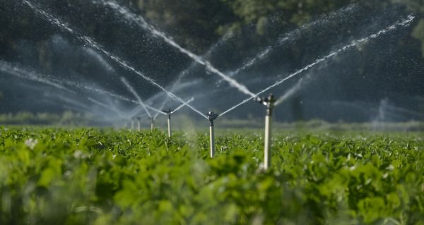 Irrigation Installation