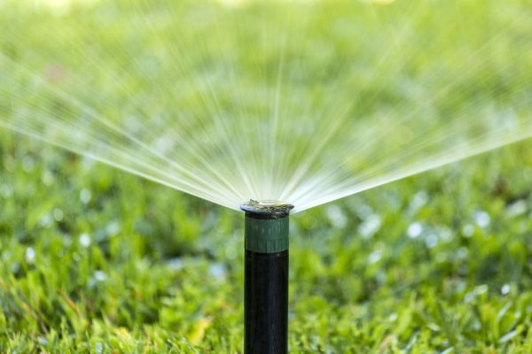 Turf Sprinkler Installation