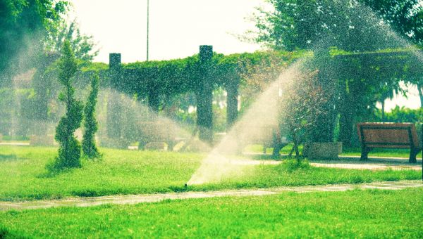 Watering System Installation