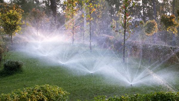 Lawn Irrigation Installation