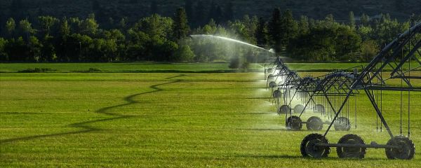 Turf Irrigation Installation