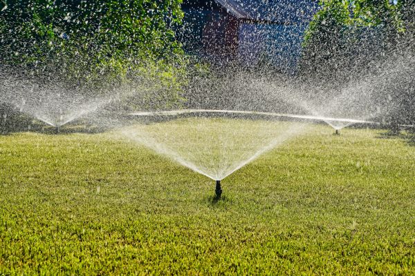 Yard Irrigation Installation