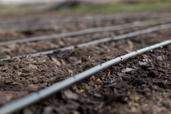 Drip Irrigation Installation - Drip Irrigation Installation Meridian, Idaho