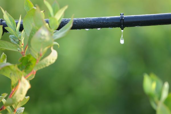 Drip Irrigation System Install