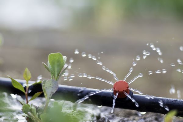Watering System Installation