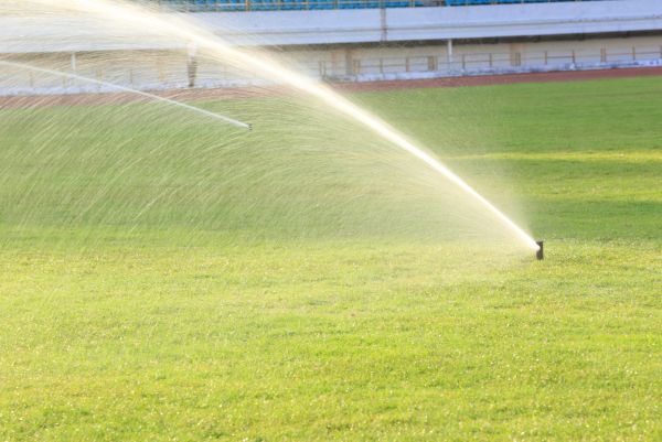 Automatic Watering Install